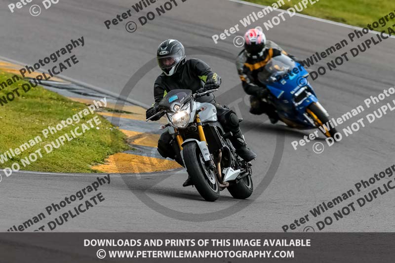 PJ Motorsport 2019;anglesey no limits trackday;anglesey photographs;anglesey trackday photographs;enduro digital images;event digital images;eventdigitalimages;no limits trackdays;peter wileman photography;racing digital images;trac mon;trackday digital images;trackday photos;ty croes